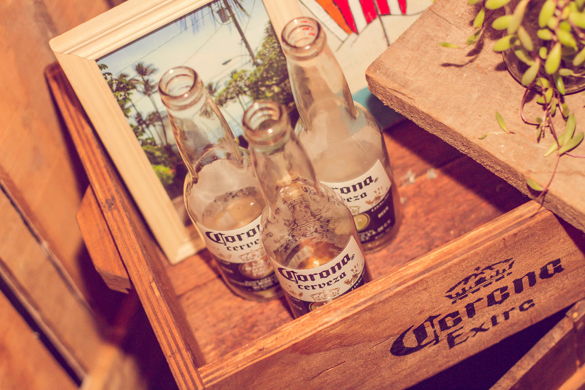 20141128 1127 corona board & arts 0783